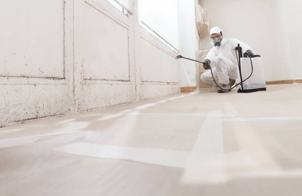 Black mold remediation team in Millburn